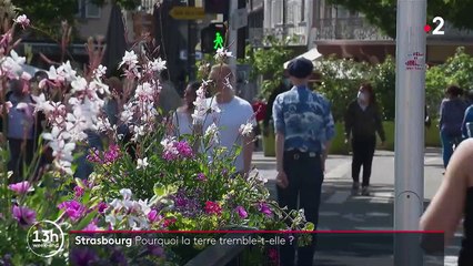 Bas-Rhin : pourquoi la région subit régulièrement des petits séismes ?