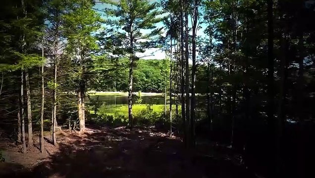 Ancient Aliens: Impossible Artifacts Possess An Extraterrestrial Connection (Season 16) | History