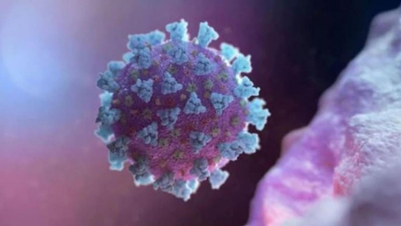 Delta Plus Variant: These 8 states are most affected