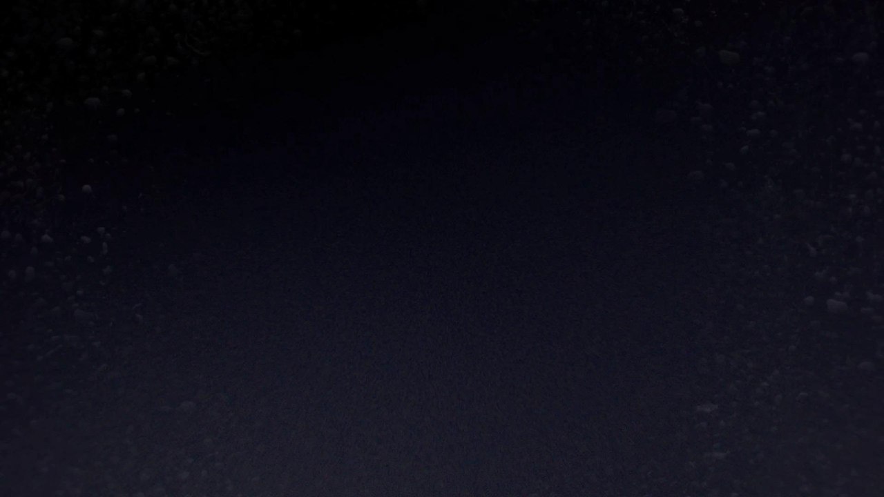 Dijon vs. Lyon-Villeurbanne (74-87) - Résumé - 2020/21