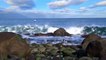 Relaxing Ocean Waves For Sleep _ Ocean Sounds _ Natural Ocean Wave Sounds