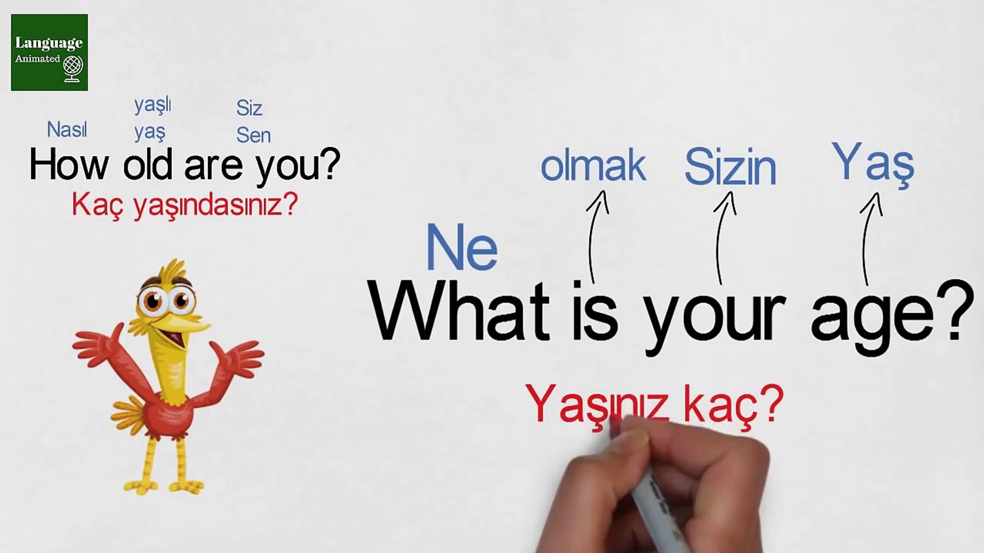 ⁣04.Learn Turkish through Turkish Lesson 3 - Asking age in Turkish