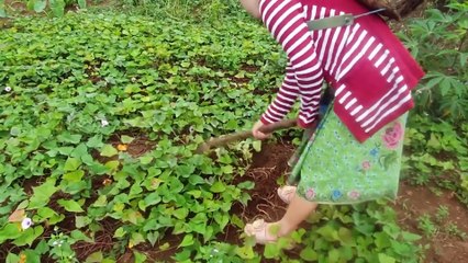 24.movie txiv neeg aim hlua nkauj dawb