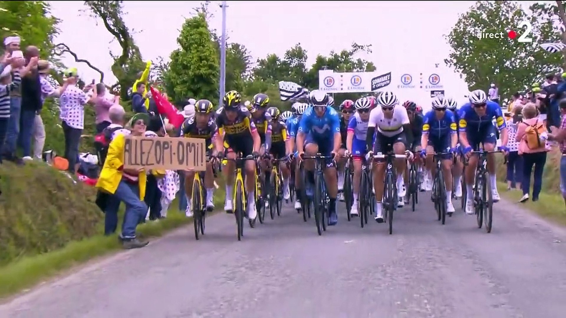 Tour de France 2021 : chute massive dans le peloton à cause d'une pancarte  tenue par une spectatrice - Vidéo Dailymotion