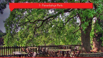 İstanbul’da piknik yapılacak en güzel yerler!