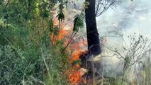 ANTALYA - Kaş'ta orman yangını