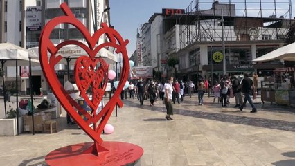 ORDU - 'İyi ki Doğdun Ceren' adlı kitap için imza günü düzenlendi