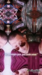 Lagu viral | bodo amat