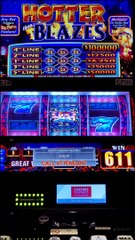 Dog Plays Slots at the Casino