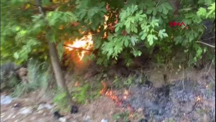 Son dakika haberi... Adıyaman'da orman yangını