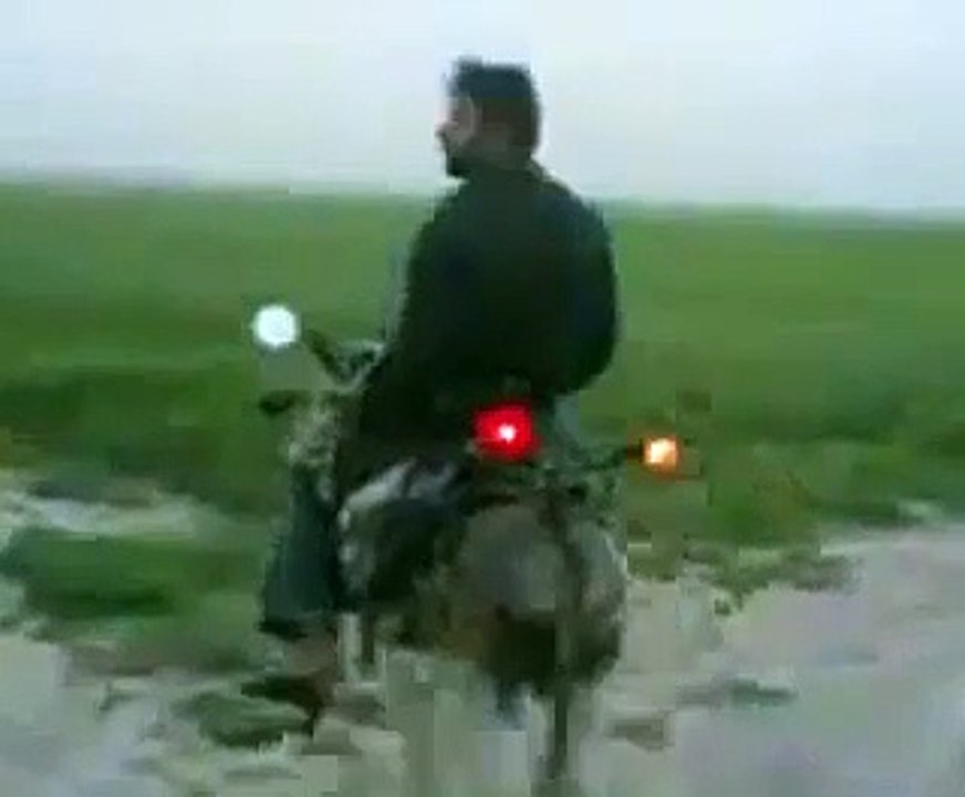 modifiye eşek- modified donkey - Dailymotion Video