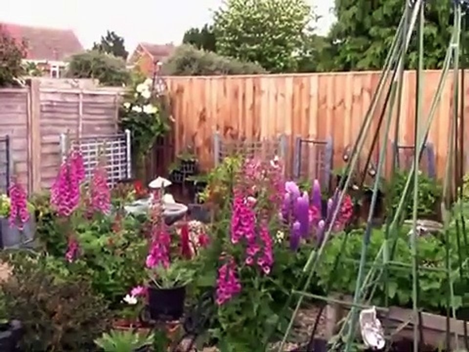 VLog 5 Part 2
