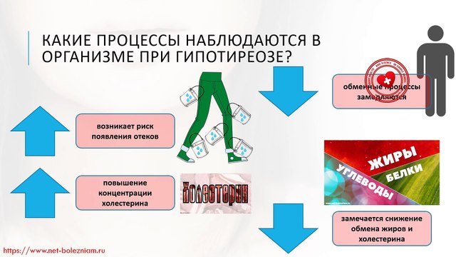 Как необходимо питаться при болезнях щитовидной железы?