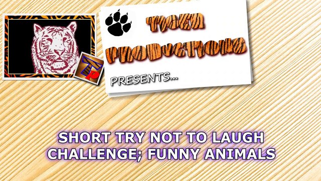 Funny Memes Compilation - Indian Viral Memes - Trending Memes, funny memes 2021