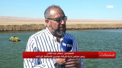 "حلم و بنحققه" مدير شركة استثمار زراعي يتحدث عن عوائد زراعة نبات الجوجوبا على مصر اقتصاديا