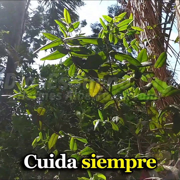 Oración para quitar toda ansiedad