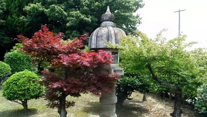 Giant Pear Tree Shrine in Japan