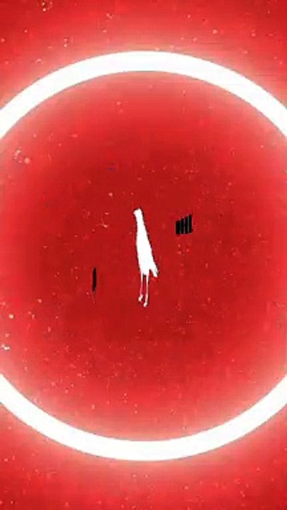 Motion Graphics  Bird & Old Cameras