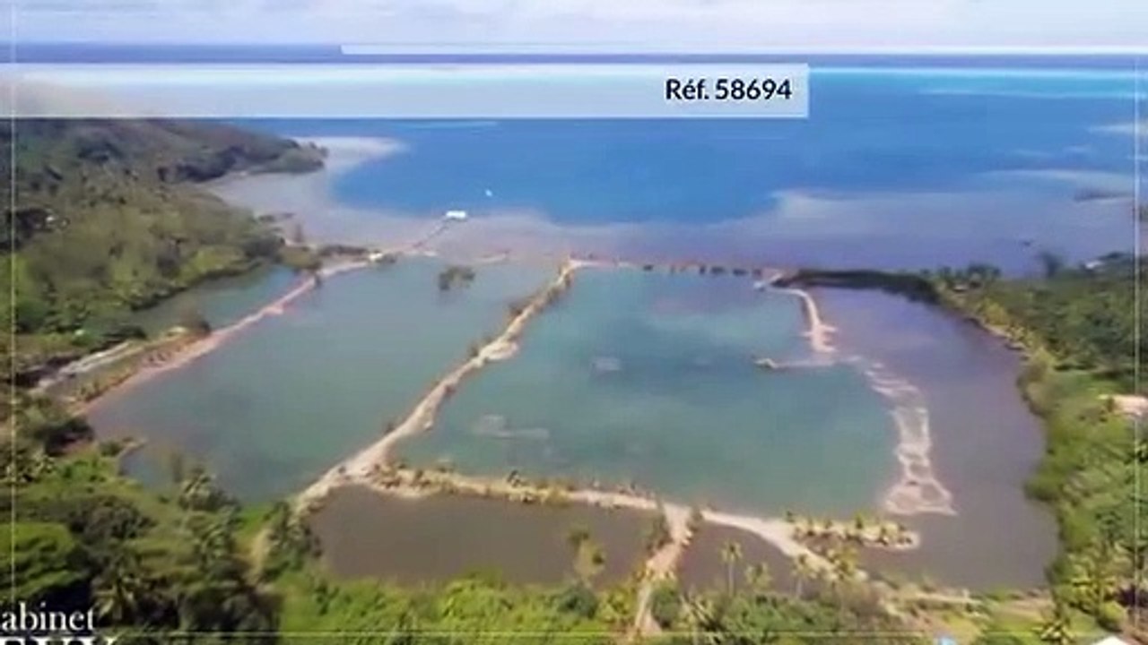 A vendre terrain de 11 Hectares à Tahaa (Idéal culture, agriculture)