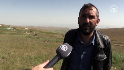 Doğu Anadolu'daki yayla yolculuğu sıcak hava nedeniyle zorlu geçiyor