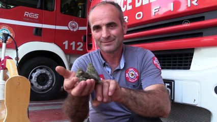 DÜZCE - Florya yavruları itfaiyecilerin maskotu oldu