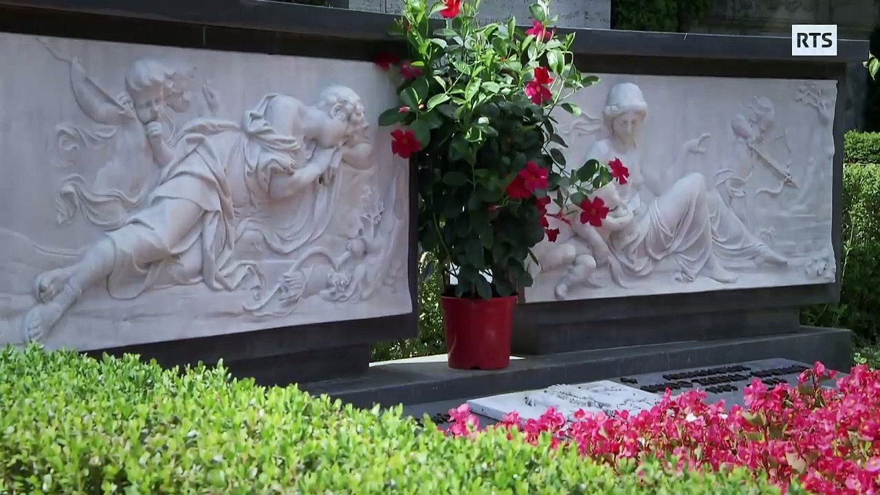 Dans Ce Magnifique Cimetière Historique, La Vie Bat Son Plein !