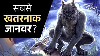 सबसे खतरनाक जानवर कौन? #shorts