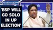 BSP to go solo in UP & Uttarakhand state polls; Mayawati says no tie-up with AIMIM | Oneindia News