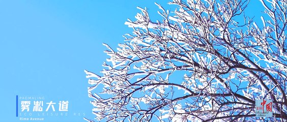 ❄️Voyage glace et neige : Province du Shandong 冰雪之旅——山东