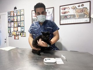 ZORUNLU HALE GETİRİLMESİNİN ARDINDAN, EVCİL HAYVANLARA MİKROÇİP TAKILIYOR