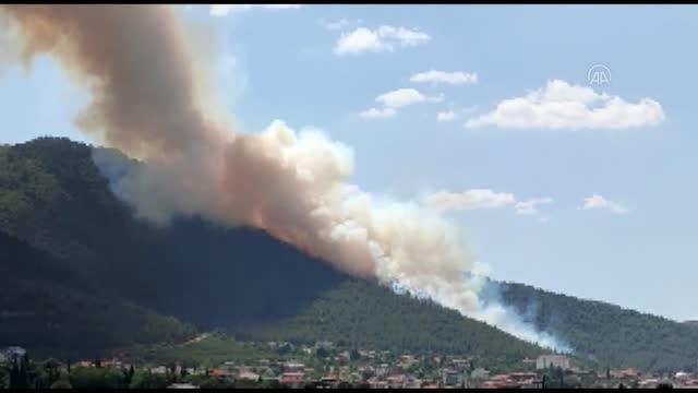 Merkezefendi ilçesinde çıkan orman yangınına müdahale ediliyor (1)