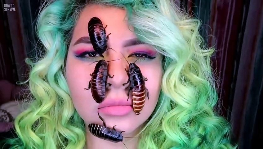 How To Survive A Cockroach Infestation