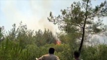 OSMANİYE - Orman yangınına müdahale ediliyor