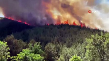 Denizli’de ormanlık alanda yangın