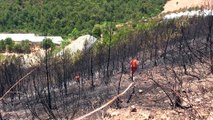 ANTALYA - Alanya'da çıkan yangında 7 dönüm orman alanı zarar gördü