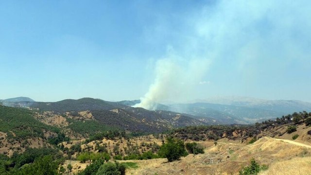 Bingöl'deki orman yangını 3 gündür devam ediyor