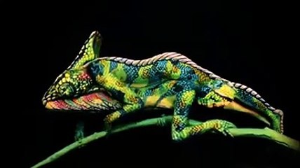 Body Art Body Painting Art