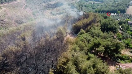 Osmaniye’de orman yangını
