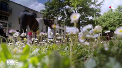 "Il y a un vrai échange avec les animaux" : la ponette Sioux apporte du bonheur aux résidents d'un Ehpad à Angoulême