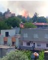 Son dakika haber: Osmaniye'de orman yangını