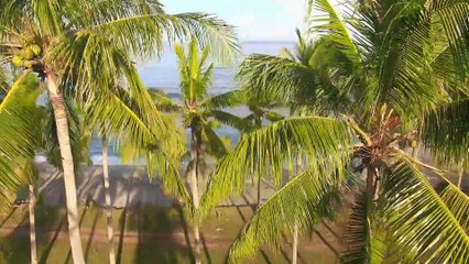 Relaxing music with ocean shots for relaxation and meditation