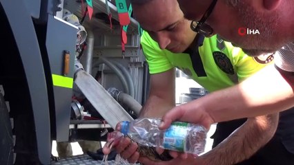 Dumandan etkilenen hayvanlara polis ve vatandaştan ilkyardım