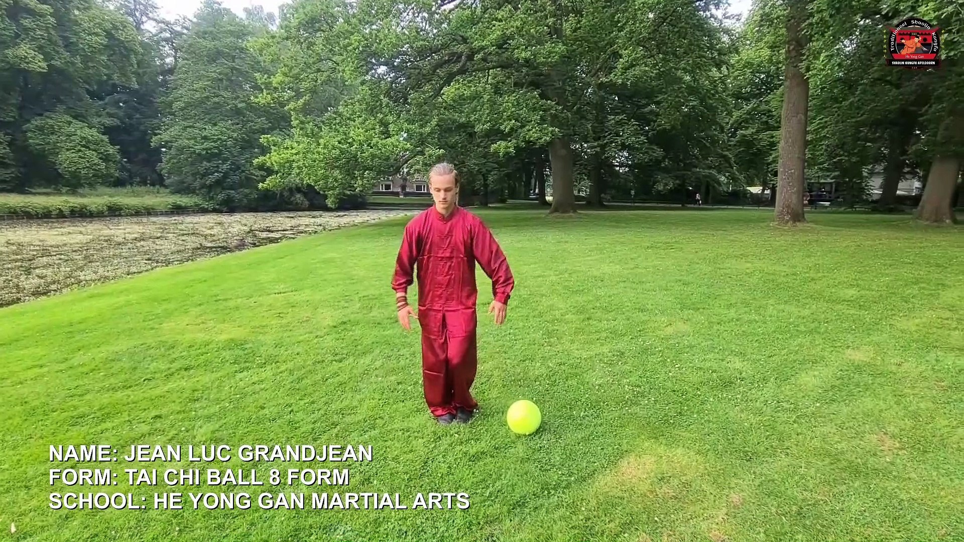 Tai Chi Ball Form - Tai Chi Bal Vorm - 8 Form of Taijiquan | Martial Arts  He Yong Gan - Video Dailymotion
