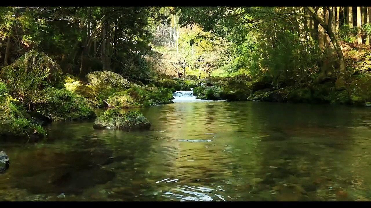 Morning motivation   water relaxation music for stress relief and healing