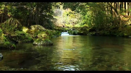 Morning motivation   water relaxation music for stress relief and healing