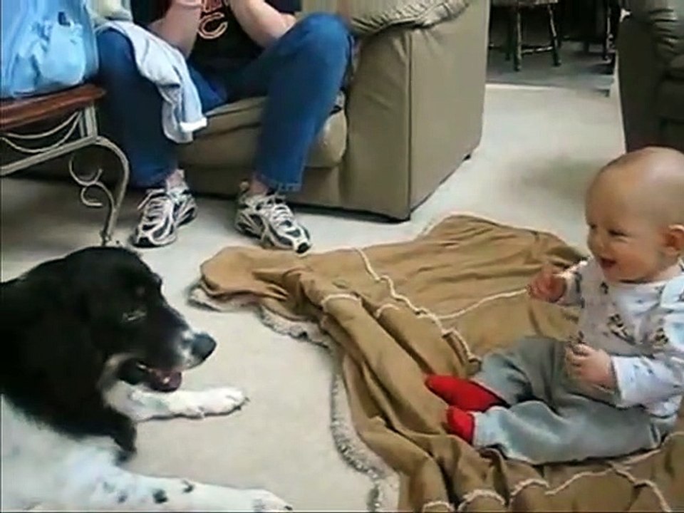The funny reaction of the dog-رد الفعل المضحك للكلب