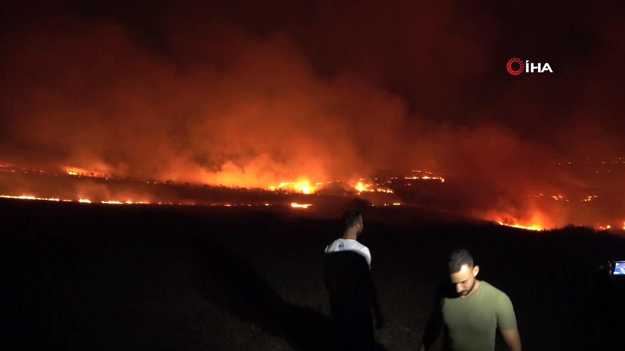 Adana’da ağaçlık alana sıçrayan anız yangını kontrol altına alındı