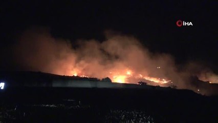 Adana'da ağaçlık alana sıçrayan anız yangını kontrol altına alındı