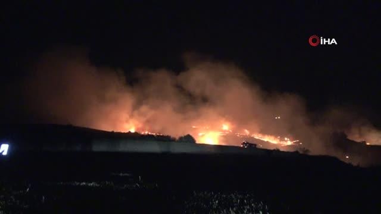 Adana'da ağaçlık alana sıçrayan anız yangını kontrol altına alındı