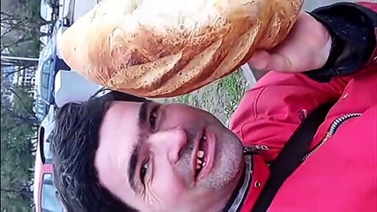 Domaci Leba